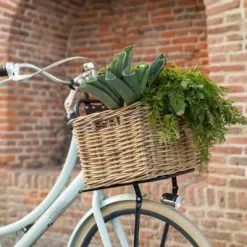 Porte-bagages Avant Pour Vélos De 20 à 24 Pouces Steco -Promos Sacoches Vélo Magasin porte bagages avant pour velos de 20 a 24 pouces steco full 4